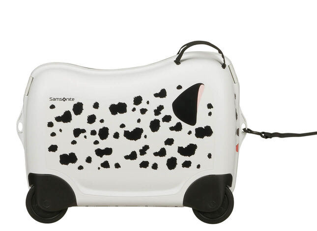 Multifunkčný popruh