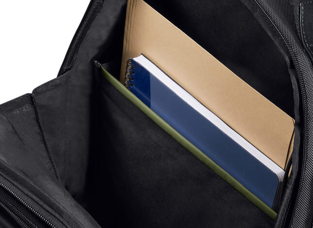 Dômyselná organizácie