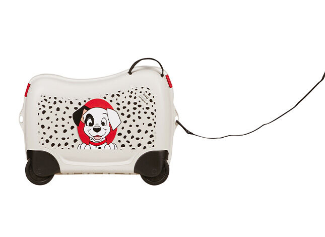 Multifunkčný popruh