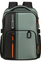 Samsonite Biz2go BP Daytrip 15.6'  Sage