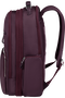 Samsonite Karissa Evo BP Underseater Backpack 15.6' EXP  Vínová červená