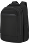 Samsonite Paralux 2-1 Travel Backpack  Černá